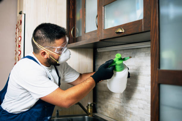 Best Best Pest Control Companies  in Erda, UT