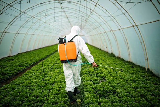 Best Local Pest Control Services  in Erda, UT