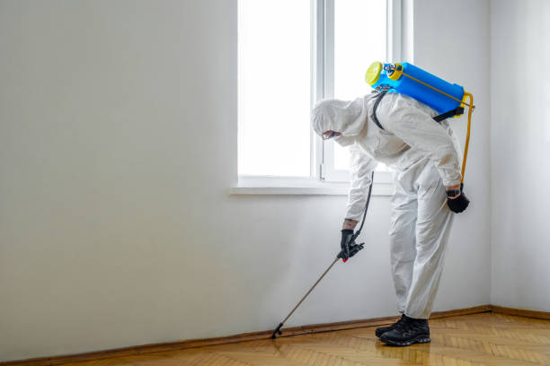 Best Termite Control Services  in Erda, UT