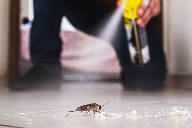 Best Pest Control Near Me  in Erda, UT